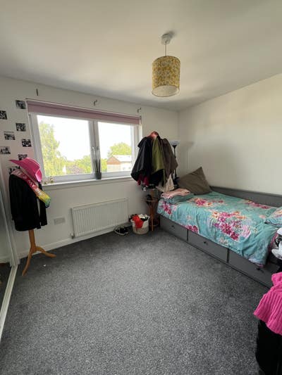 Room available in cosy flat  Main Photo