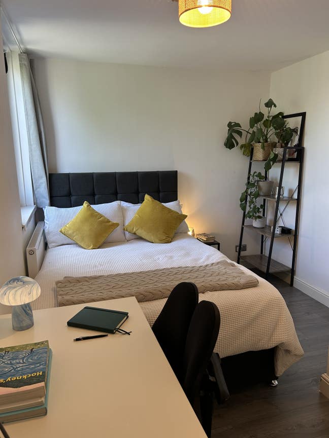 Room available in modern house in Maida Vale Main Photo