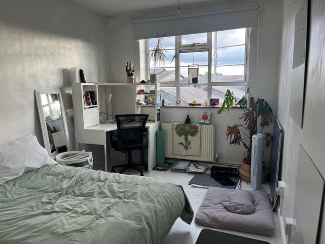 Peckham Rye Female Flat  Main Photo