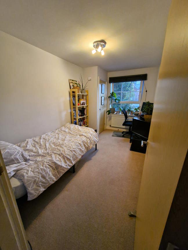 Single room in Stalybridge Main Photo