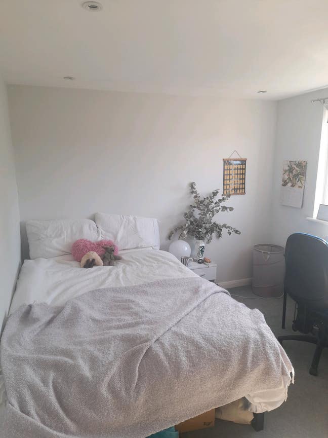 Bright and Peaceful Room in Tooting Main Photo