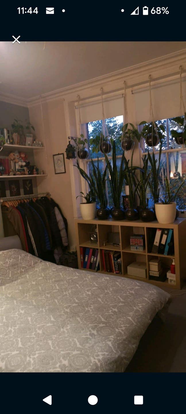 The Green Room. Main Photo