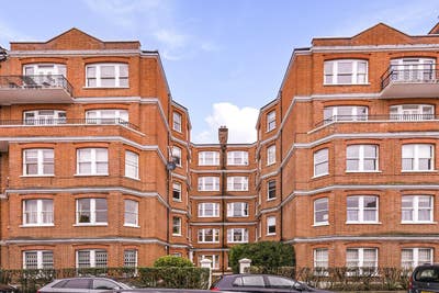 Double room available  near Battersea Park Main Photo