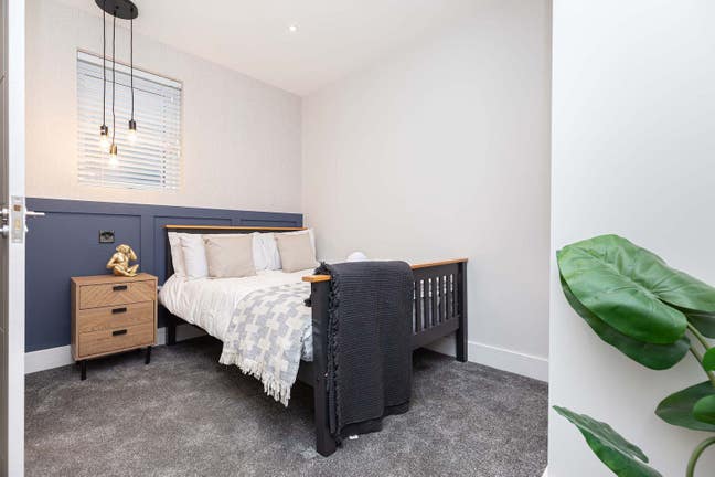 High End Luxury En-Suite Furnished Rooms Main Photo