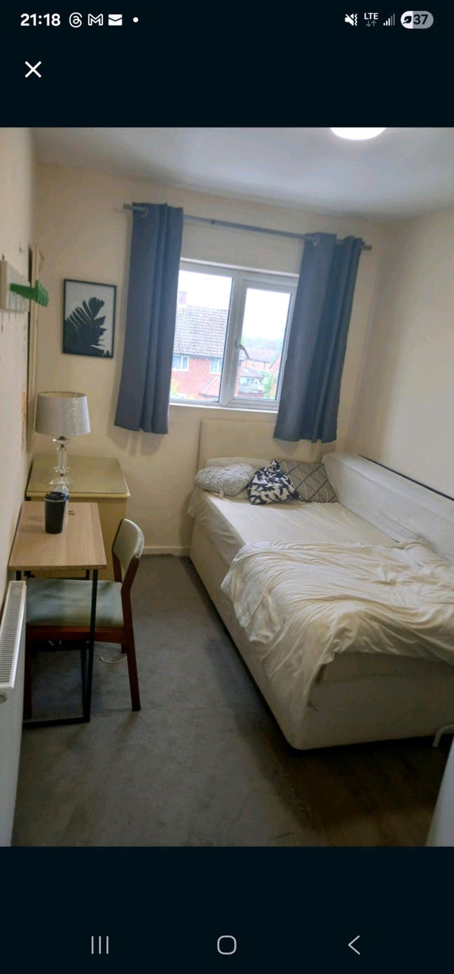 1 single room  Main Photo