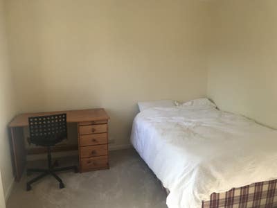 Large double room in friendly flat Main Photo