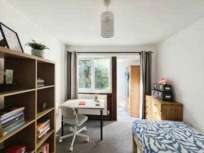 Large single room with garden access Main Photo