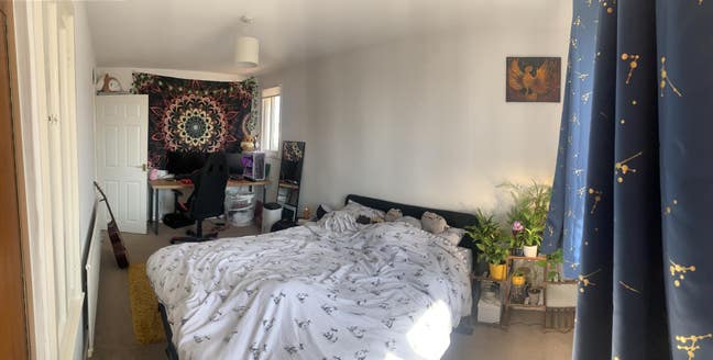 2 bedroom house with me and my cats :) Main Photo