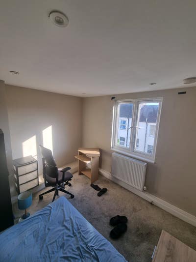 Cozy and Sunny  room to rent  Main Photo
