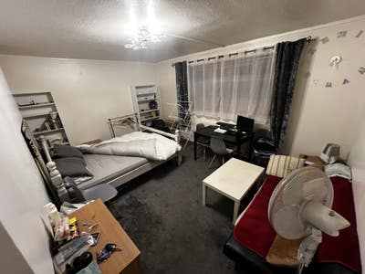 Flat share close to University  Main Photo