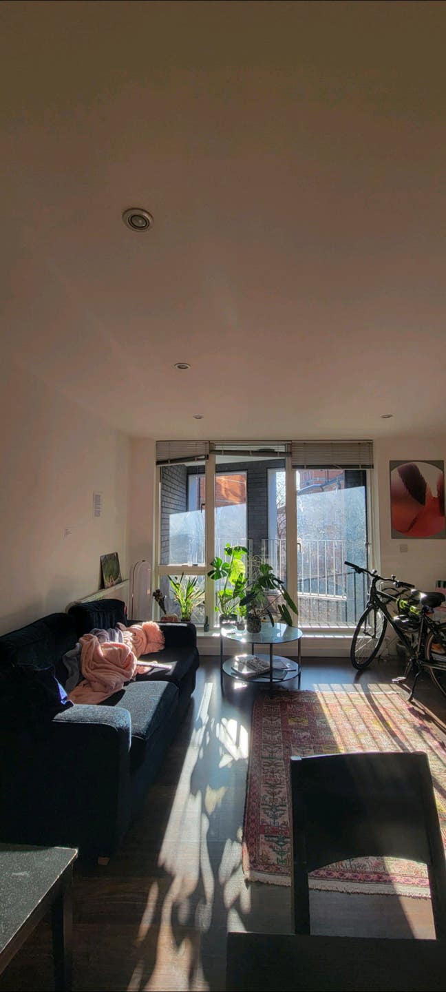 Rare find bright room east london Main Photo