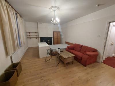 Professional person required for sociable house Main Photo