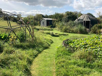 Beautiful Yurt in wild flower meadow  Main Photo