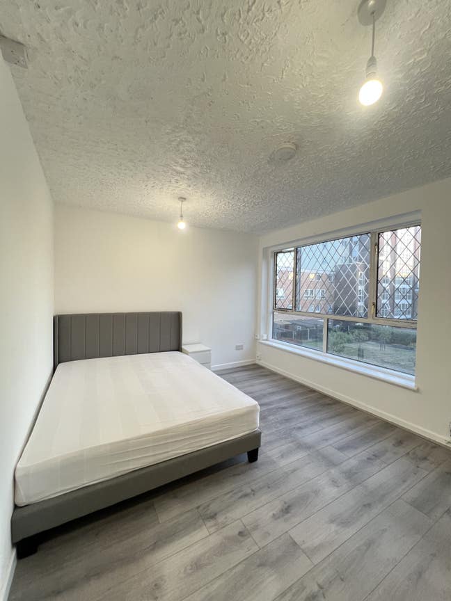 4 private rooms for rent - Mile End Main Photo