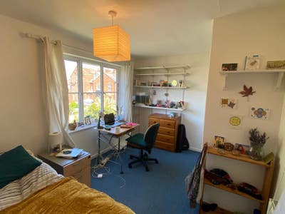 Jericho Double for Professional in Shared House Main Photo