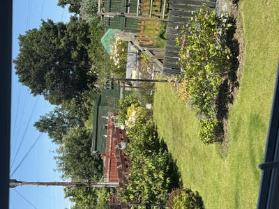 Looking for a tenant for spare room Main Photo
