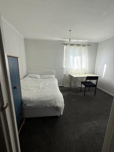Flatmate needed urgently.  Main Photo