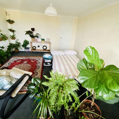 Room to rent  Main Photo