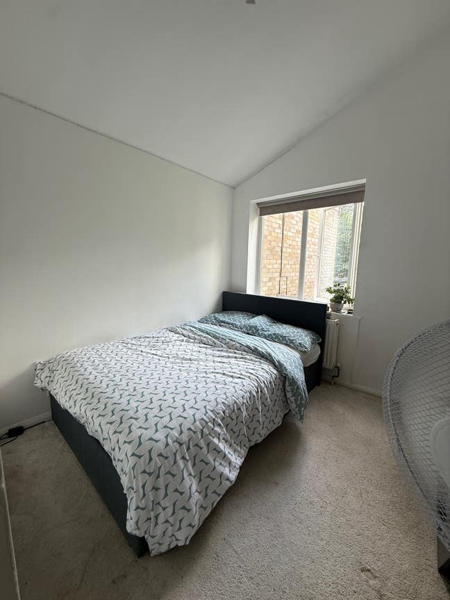 Double room for rent Main Photo