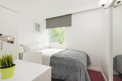 Amazing  double  close to East Putney   Main Photo