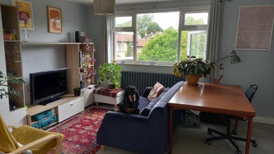 Beautiful large attic room in Chapel Allerton Main Photo