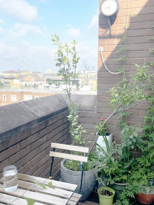 3.5 Weeks Whole 1Bed Flat Sublet.  Main Photo