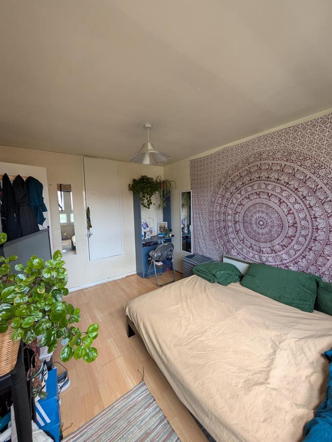 I'm renting my wonderful room Main Photo