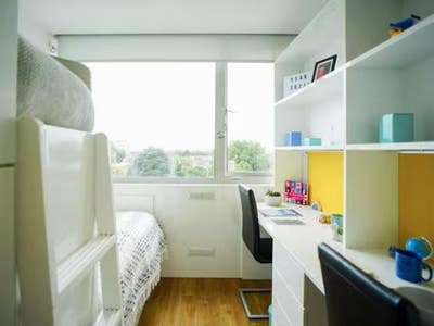 Room Available @Lightfoot Hall Whole Academic Year Main Photo