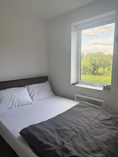Double Room with Own Bathroom for Rent Main Photo