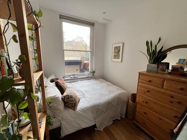Cosy room in lovely flat in Clapton Main Photo