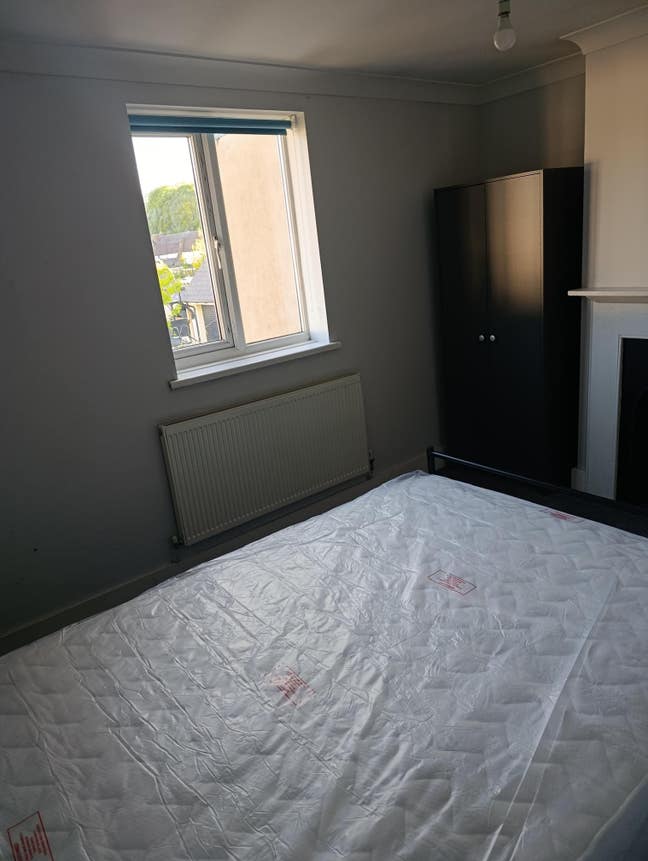 A Friendly Lodger needed. Main Photo