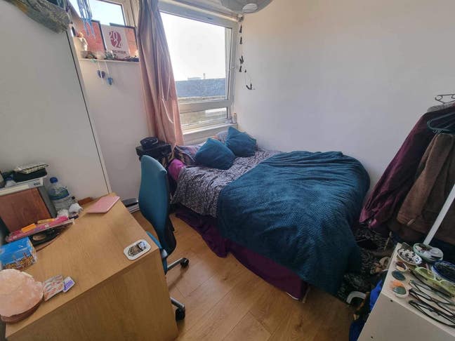 Sunny Peckham room - August sublet Main Photo