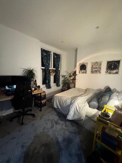 Lovely Room with an even lovelier Land Lord Main Photo