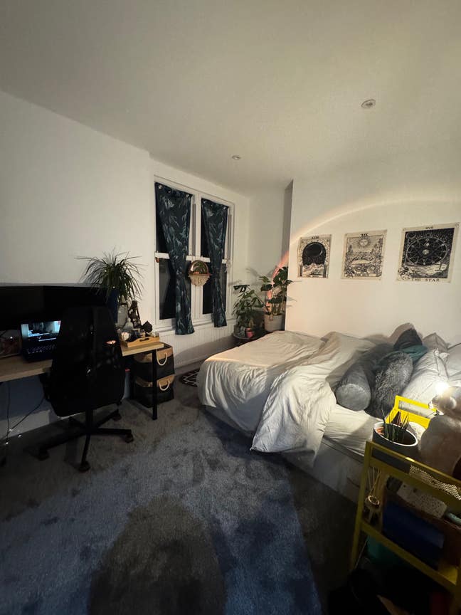 Lovely Room with an even lovelier Land Lord Main Photo