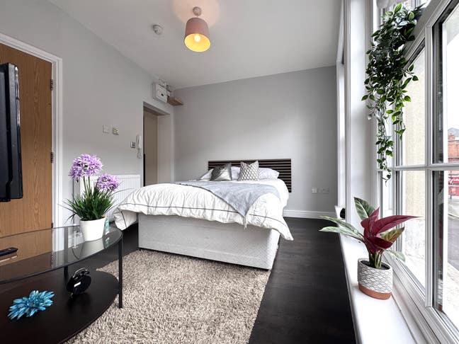 Spacious and Bright studio flat in Willesden, NW10 Main Photo