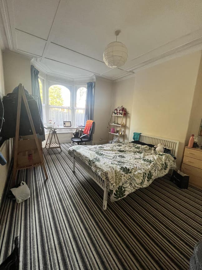 Wonderful double room available: Botanical Garden Main Photo