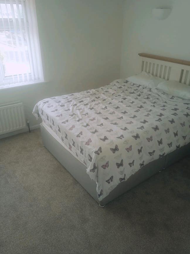 Bright room in shared house for single person  Main Photo