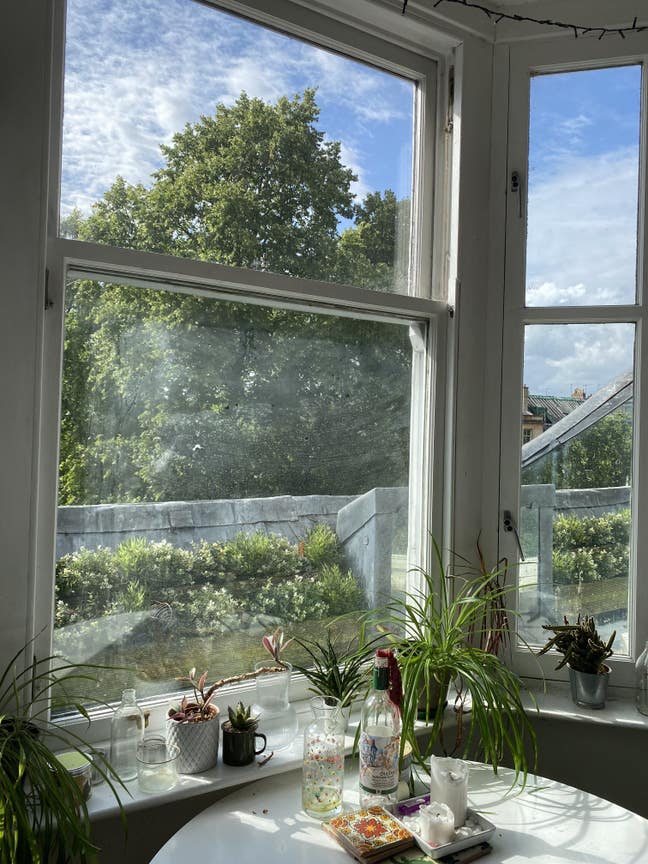 Big double room in sunny flat in Woodlands! Main Photo