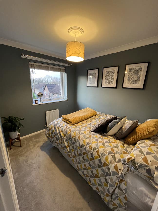 Homely Double Room-Study-Parking-Cardiff Main Photo