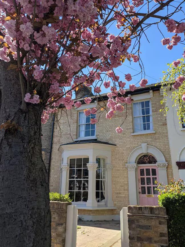 Short Term Let - 4 to 6 weeks - House with garden Main Photo