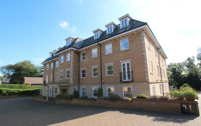 Ensuite Double Room in 2-Bed Flat – Thorpe Road Main Photo