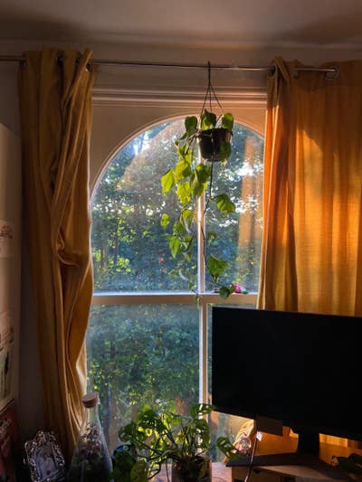 Subletting a room in a lovely 4-bed flat🌷 Main Photo