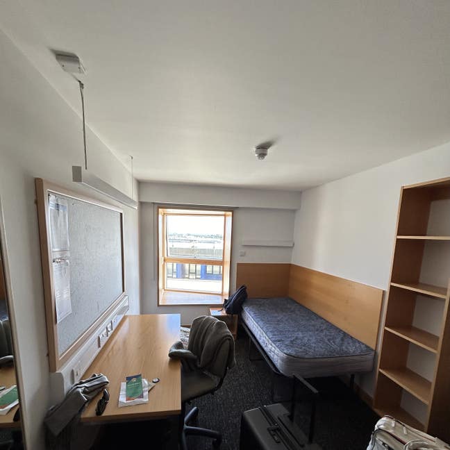 Low Price Sublease in Aug Oshea South Main Photo