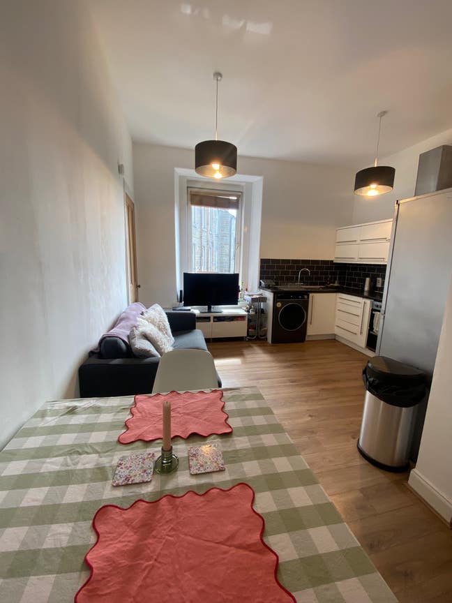 1 double bedroom in a chill flat near Baxter Park  Main Photo