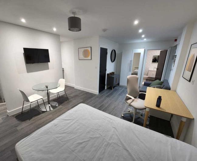 Lovely Modern Studio  Main Photo