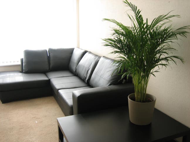 Large Double - 9 mins To Station & Town Centre !! Main Photo