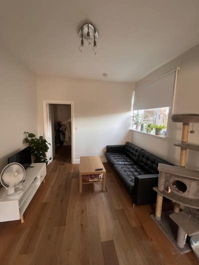 Double Room in 2-Bed G Floor Flat in West Ealing Main Photo