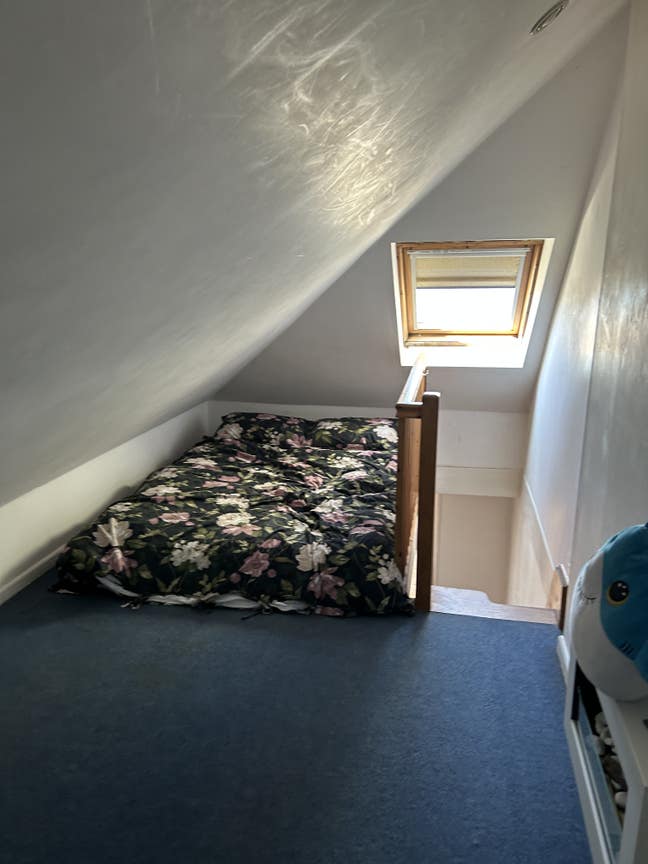 Small studio flat from November  Main Photo