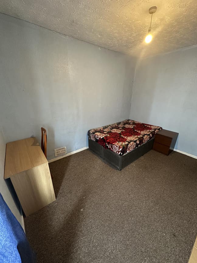 A double fully furnished room available  Main Photo