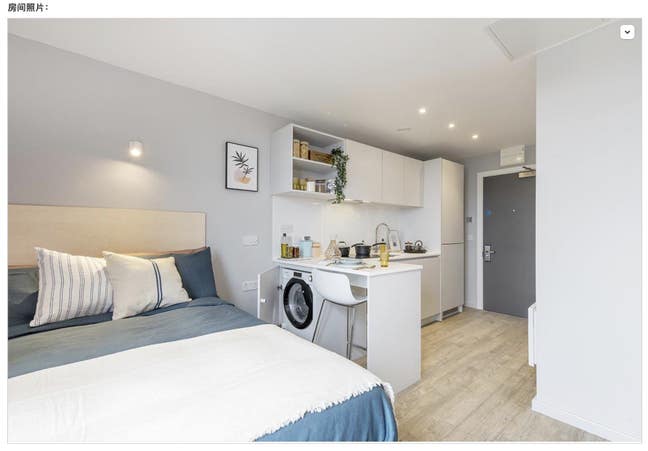 Hillside  House studio—Tallest & Best View Main Photo